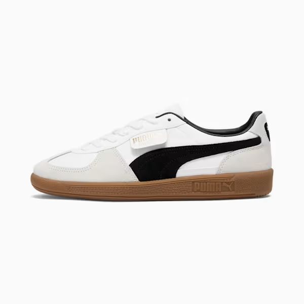 PUMA WBG