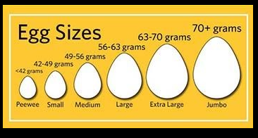 EGG PER PIECE