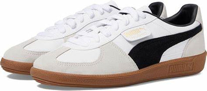 PUMA WBG