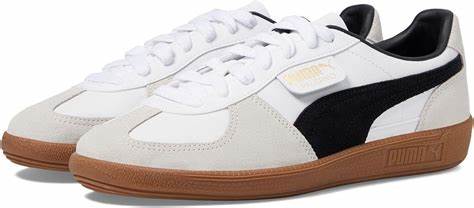 PUMA WBG