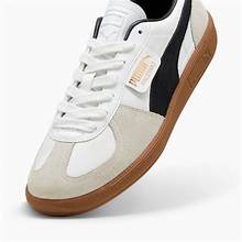 PUMA WBG
