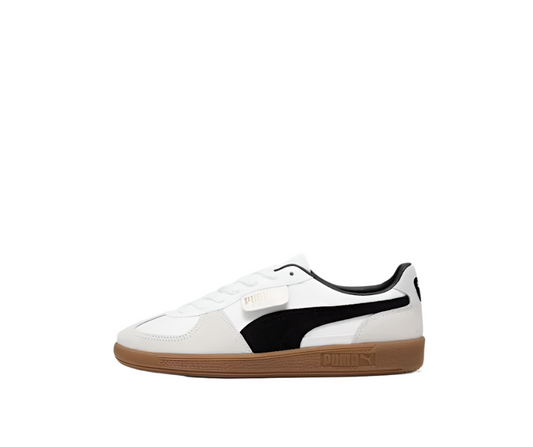 PUMA WBG